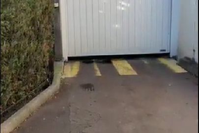 Vignette parking 17 rue Mirabeau - Vincennes